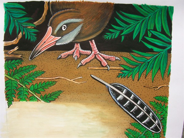 013 -'Did you Shake your Tail Feather?'